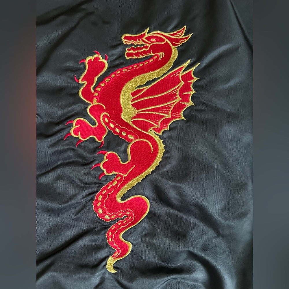 Dragon jacket - Picture 6 of 8